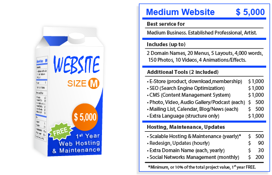 siliconfarm-website-package-m-en